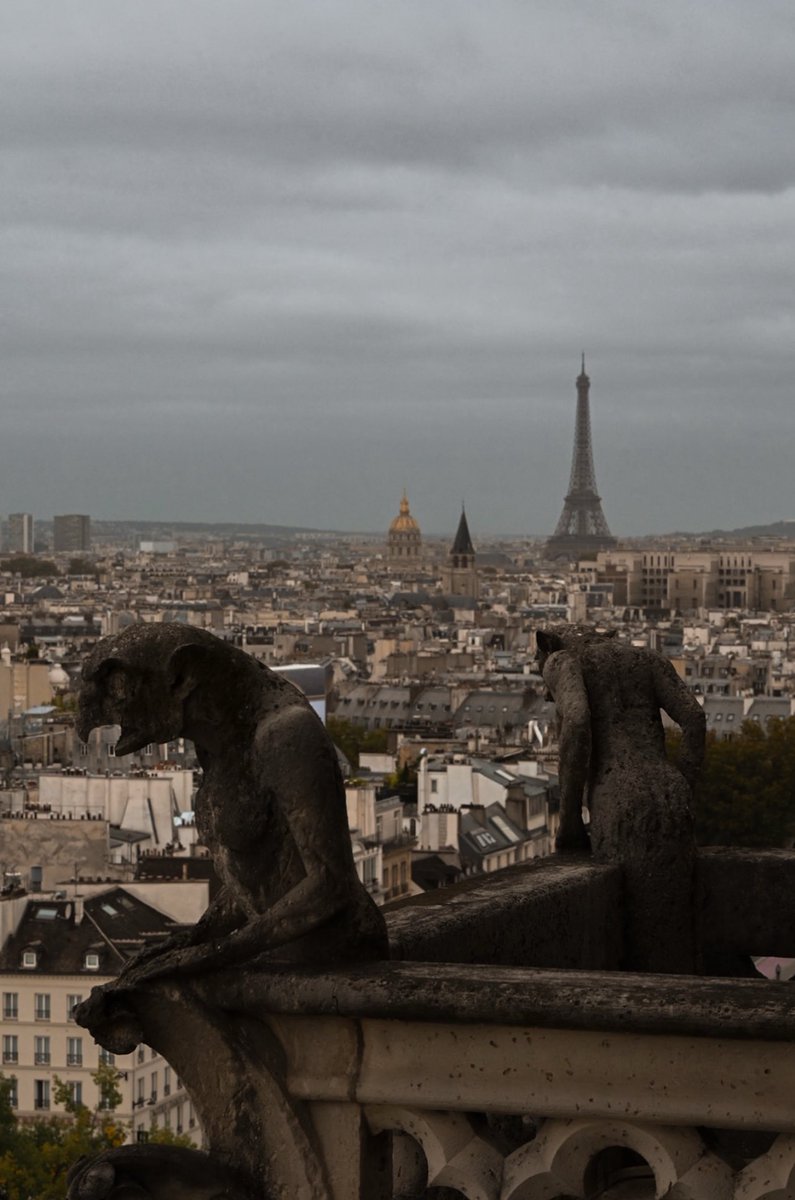 Melissa⛩️🔥 tweet media