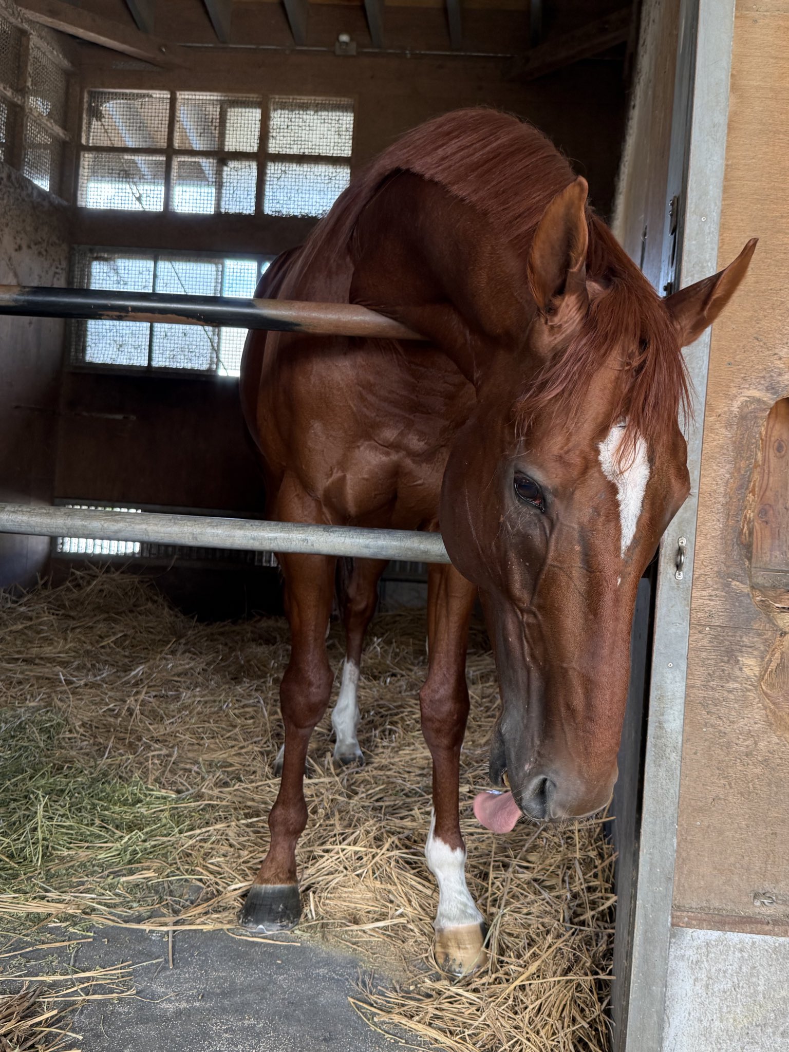 シャフリヤールのダービーゴール前写真未使用激レア シャフリヤールのダービーゴール前写真未使用激レア 2025年最新