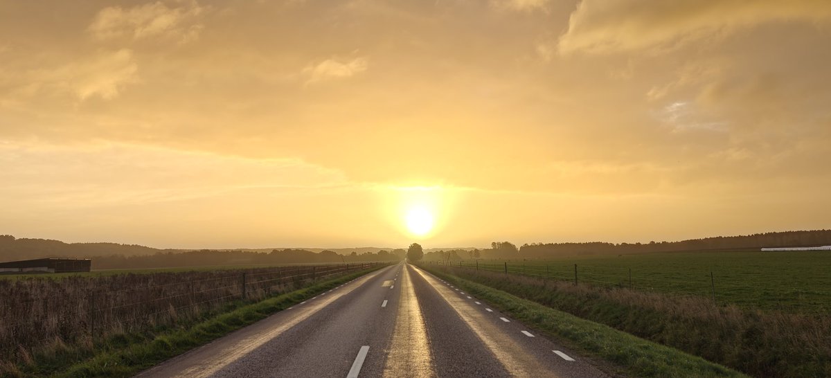 _Frodda's tweet image. Godmorgon mina X. Fredag i dag ! Glöm inte berätta för era närmsta att ni älskar dom.