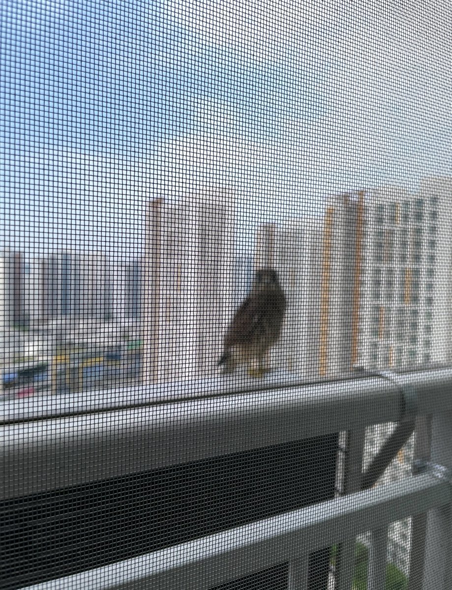 psy_haruto's tweet image. 바람쐬다 매형 만남