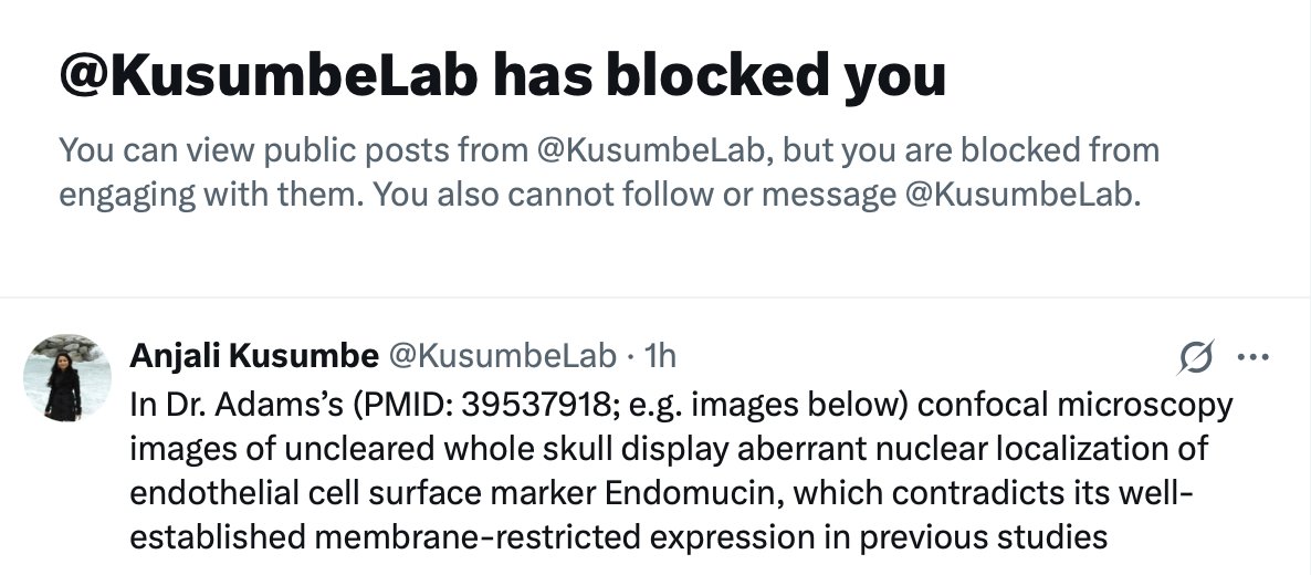 Ralf H. Adams tweet media