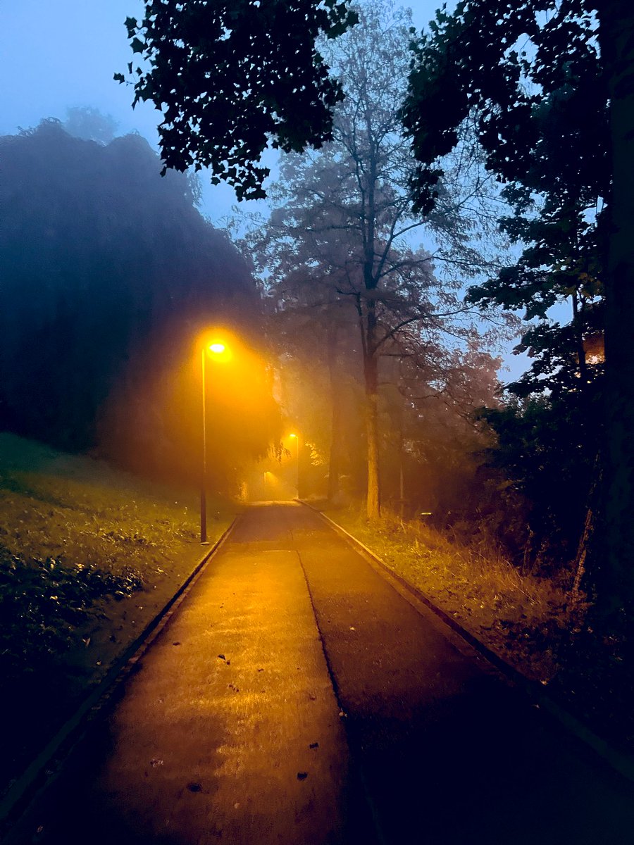 Ich hasse den Herbst.