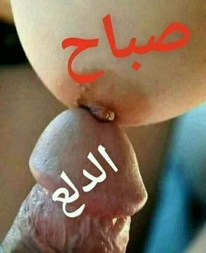 wael (@wb6i6) on Twitter photo 