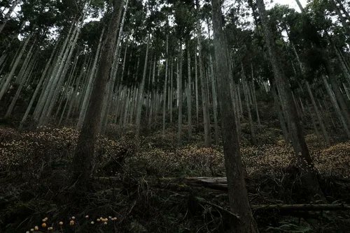 さら🇦🇴＠暑い日は嫌い🥑 (@caseyalexa55376) on Twitter photo 