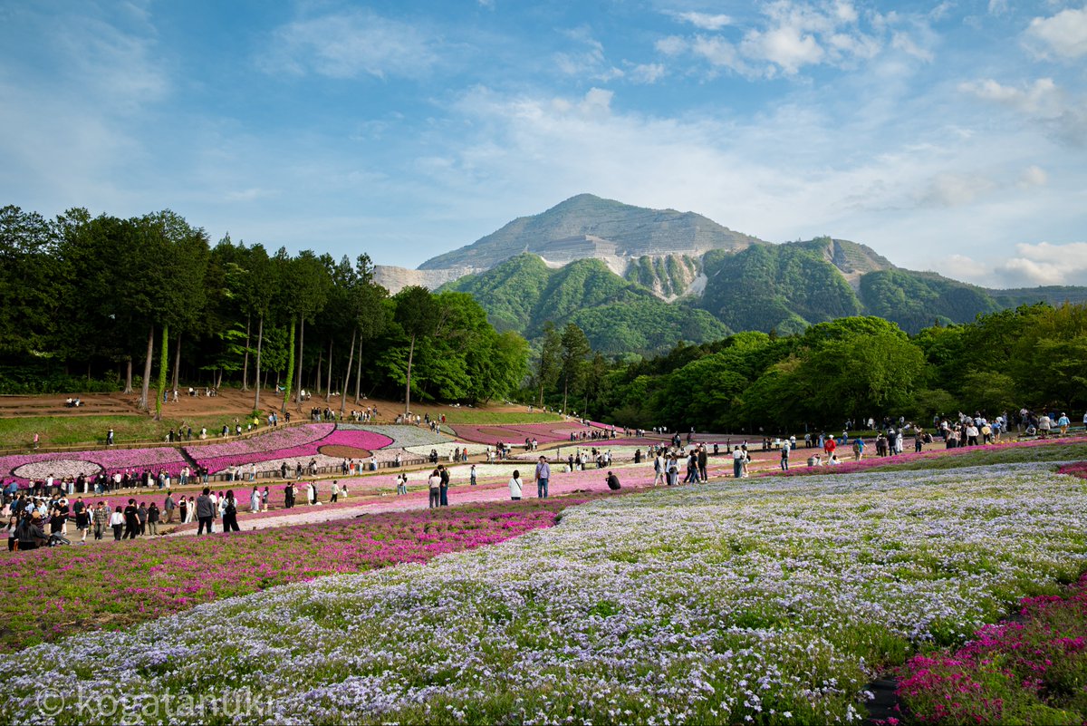 kogatanuki's tweet image. 都道府県魅力度最下位の風景🤔

一眼カメラ始めてから撮りに行くようになりましたが、毎度目を楽しませてくれます✌️

#Nikon