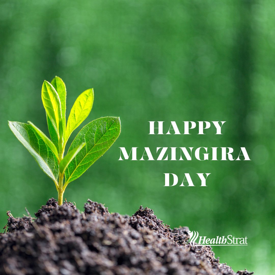 Health_Strat's tweet image. Happy Mazingira Day! Let us make our planet greener and healthier 🌳