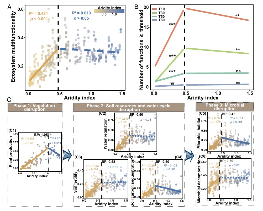 ManuDelgadoBaquerizo (@manudelbaq) on Twitter photo New <a href="/PNASNews/">PNASNews</a> in @Biofunlab !!
Soil microbial life history strategies covary with ecosystem multifunctionality across aridity gradients 
pnas.org/doi/10.1073/pn…
Led by <a href="/BioFunLab/">BioFunLab</a> CSC student Tao Zhou 
<a href="/IRNAS_CSIC/">IRNAS Sevilla</a> <a href="/CSIC/">CSIC</a> <a href="/CSICAndalExtrem/">CSIC Andalucía y Extremadura</a> New <a href="/PNASNews/">PNASNews</a> in @Biofunlab !!
Soil microbial life history strategies covary with ecosystem multifunctionality across aridity gradients 
pnas.org/doi/10.1073/pn…
Led by <a href="/BioFunLab/">BioFunLab</a> CSC student Tao Zhou 
<a href="/IRNAS_CSIC/">IRNAS Sevilla</a> <a href="/CSIC/">CSIC</a> <a href="/CSICAndalExtrem/">CSIC Andalucía y Extremadura</a>