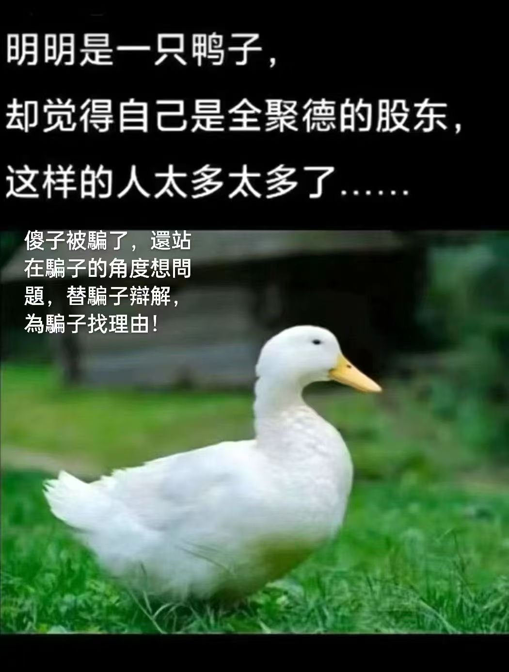 A white duck with a yellow beak stands on green grass in an outdoor setting. The text overlay in Chinese discusses people who overly flatter leaders for personal gain while inwardly resenting them, portraying it as insincere behavior.