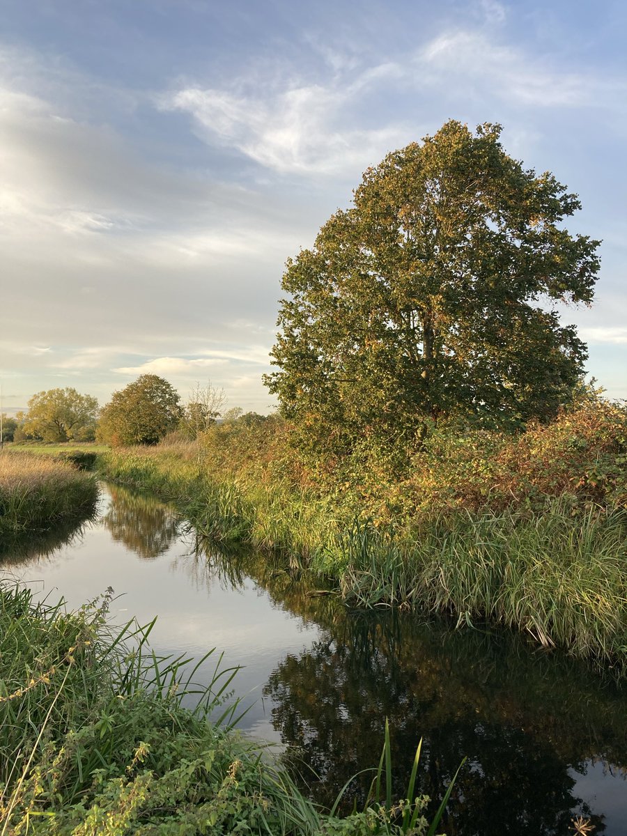 TheKentAcorn's tweet image. Tales of the Riverbank
