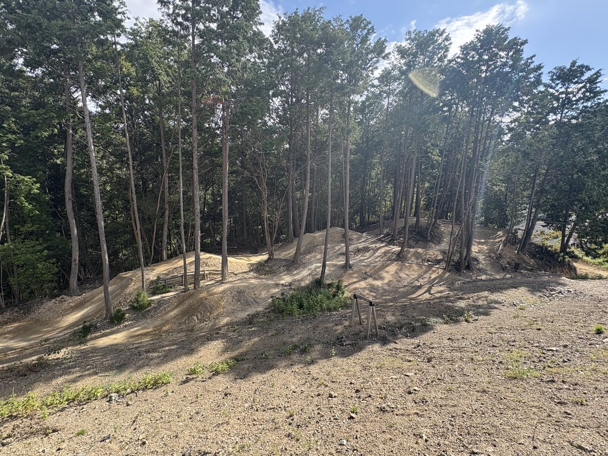 420ken1's tweet photo. 上手な人に教えてもらわないと飛べない
 #mtb
 #マウンテンバイク https://t.co/VDSq5UB9PM