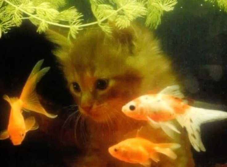 neela! ⋆｡°✩ tweet media