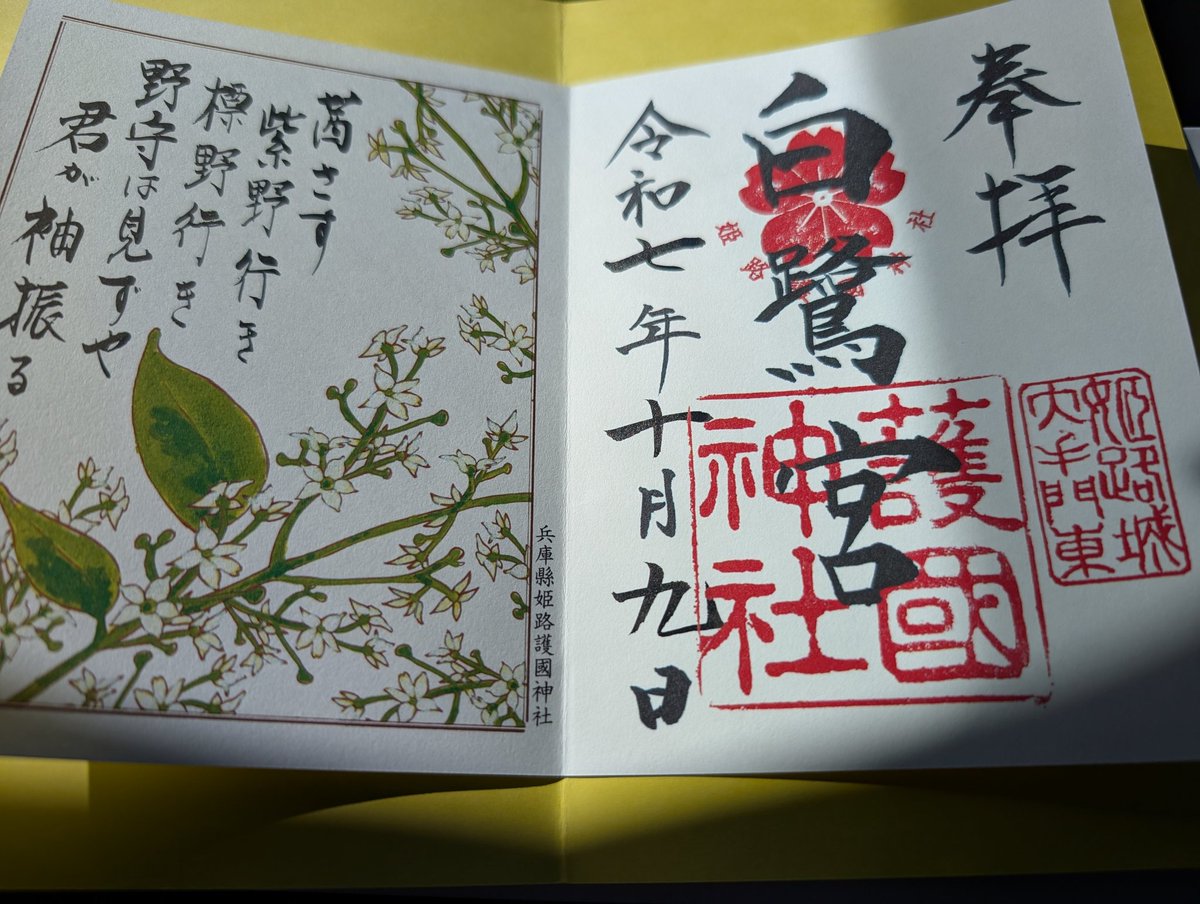 雲ページ ゼット ZETT 野球 金具スパイク グランドジャックCR BSR2295