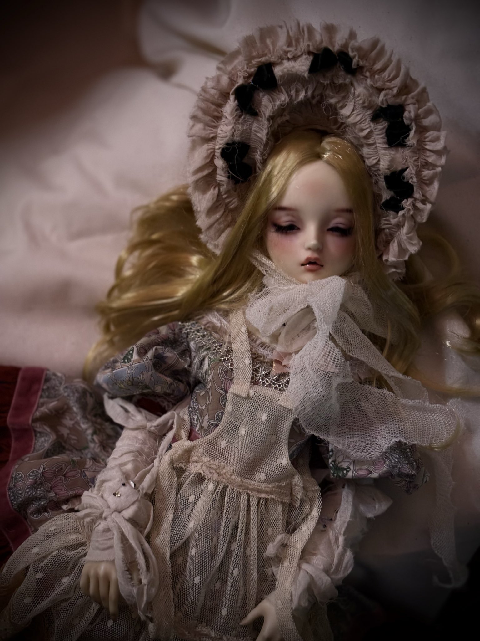 邦楽 VELVET DoLL velvet*paw (@v_p25d05) / X