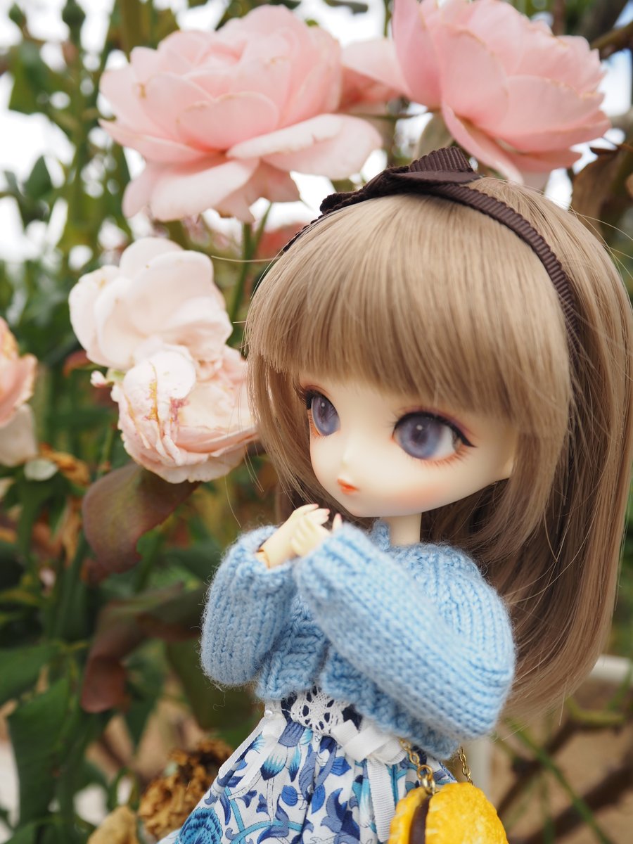 Chicoberry_doll's tweet image. 秋の薔薇🌹

#harmoniabloom
#ハルモニアブルーム