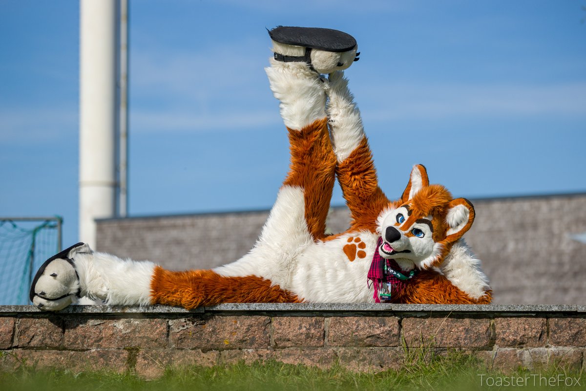 Pfoten hoch, es ist #FursuitFreitag!
Warte, so hatte ich das nicht gemeint...

🐺 <a href="/FloekeWusky/">Floeke</a> 
📷 bsky.app/profile/toaste…
🌍 EAST 13