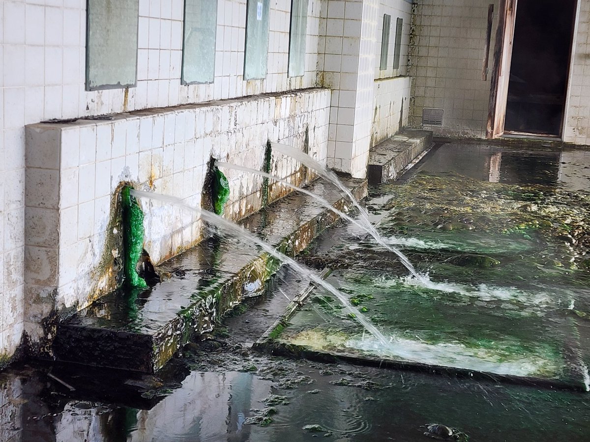 tabidaisuki2k's tweet image. 令和7年度も温泉が出続けている廃墟