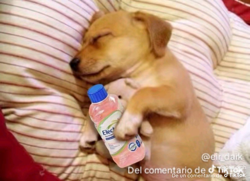 Maquinita_Ice's tweet photo. @SantaCarmelaC No dejan dormir 😪. Están funando por el Mr Doctor 🤣😂 a un buen de gente ☺️.
Sigo riendo, la verdad
Lo de #ElectrolitGate está sacando un buen de mugre https://t.co/r8kK9THJct