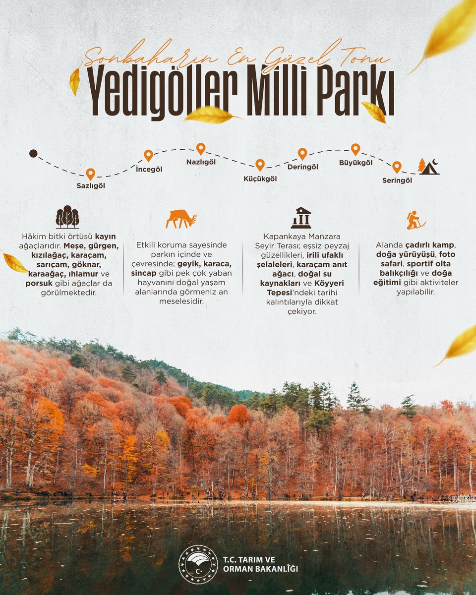 T.C. Tarım ve Orman Bakanlığı (@tctarim) on Twitter photo 🗺️ “Rota yeniden oluşturuluyor.”
🍂 Sonbaharın tüm renkleri, Yedigöller Milli Parkı’nda seni bekliyor. 🗺️ “Rota yeniden oluşturuluyor.”
🍂 Sonbaharın tüm renkleri, Yedigöller Milli Parkı’nda seni bekliyor.