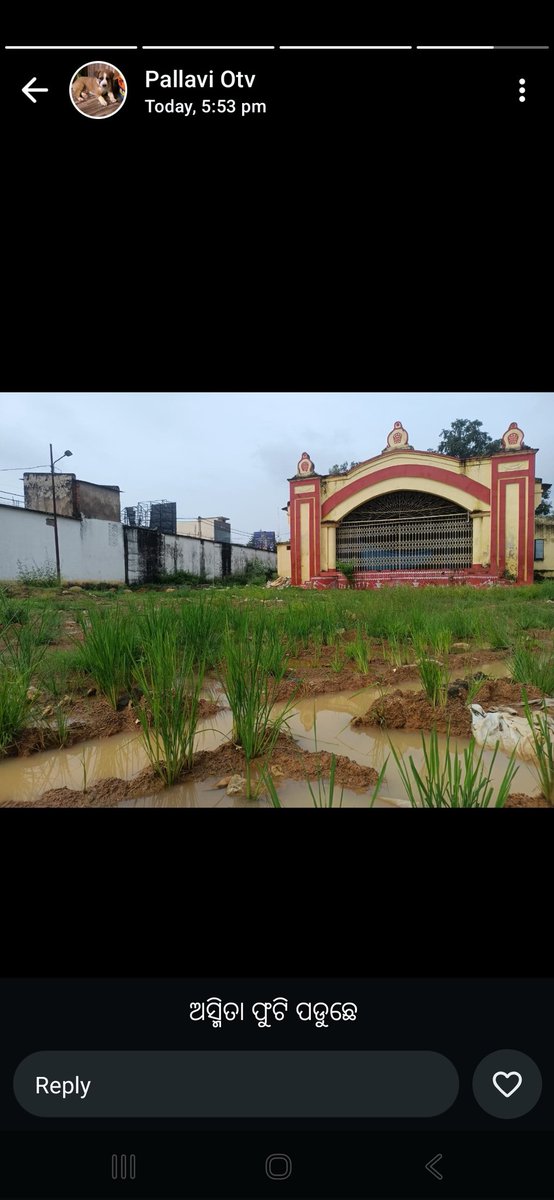 ବଲାଙ୍ଗୀର କୋଶଳକଲମଣ୍ଡପ...