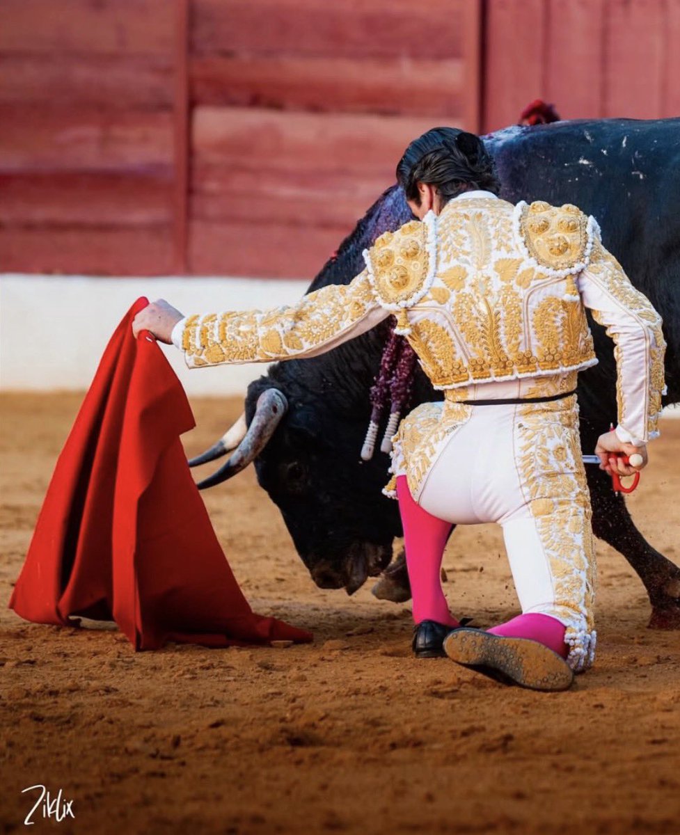 Me confirman que este natural rodilla en tierra de Ortega aún no ha acabado.