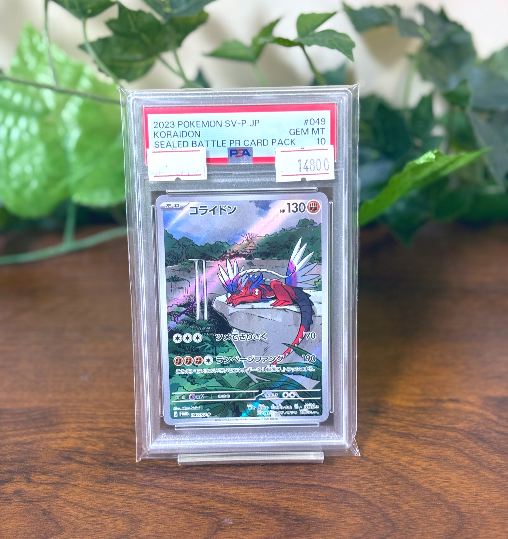 2023 コライドン SEALED BATTLE PR CARD PACK