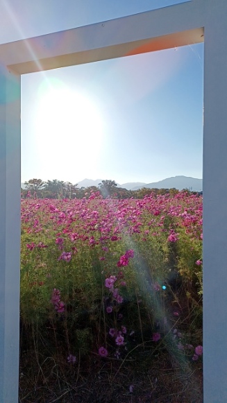 Aone73661569's tweet image. おはようございます✨

R7/10/11 ウィンクの日
朝起きた時に相手の名前の文字数だけウィンクをすると、片思いの人に気持ちが伝わる……のだそうですよ😁

そして出逢いに感謝 ご縁に感謝 皆様に感謝 感謝の一日の幕開けです✨ 皆様にとってワクワクドキドキ楽しい1日でありますようお祈り致します🙏