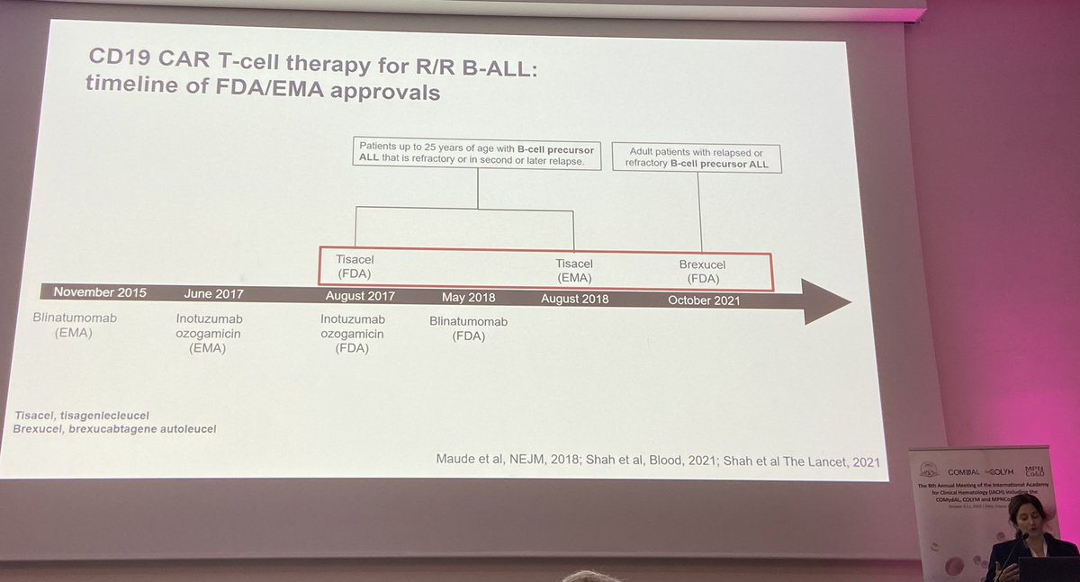 CAR-T therapy in ALL by Eolia Brissot in the 8th IACH Annual Meeting 
<a href="/Mohty_EBMT/">Mohamad Mohty</a> 
<a href="/UsuarezMD/">Uriel Suárez</a> 
<a href="/TheIACH/">IACH</a>