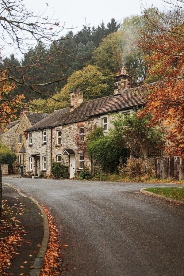 ava_sparks_ava's tweet image. The village is putting on its autumn coat. 🤎🍂

Good morning, Friday 10/10 ☀️☺️

#Octoberdays