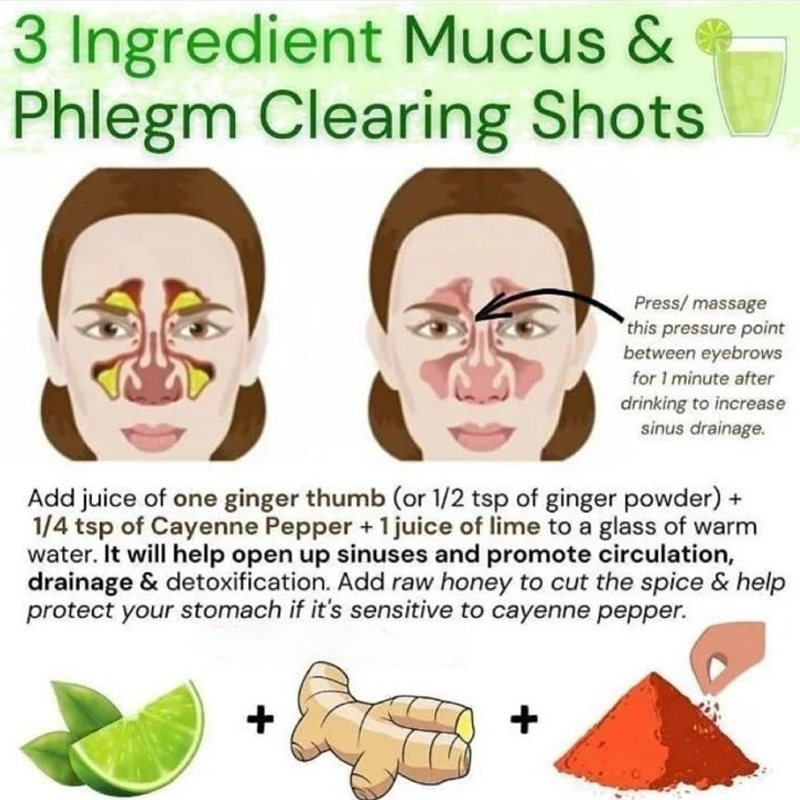 OrganicLiveFood's tweet photo. Wherever the mucus goes, disease follows. 

Flush mucus in your colon by taking:

Dandelion root
Irish sea moss
burdock root
Moringa
Ginger
Cayenne pepper https://t.co/00k1Pijdu0