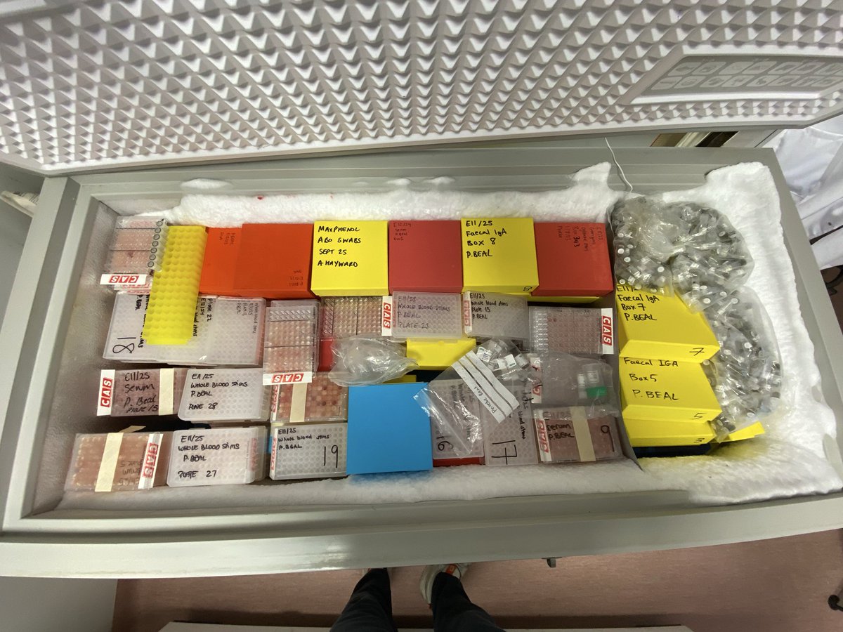 Adam Hayward tweet media