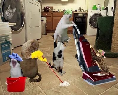 Men: Bugun dam olish kunim. Mazza qilib kitob oʻqiyman, dars qilaman

Yana men: