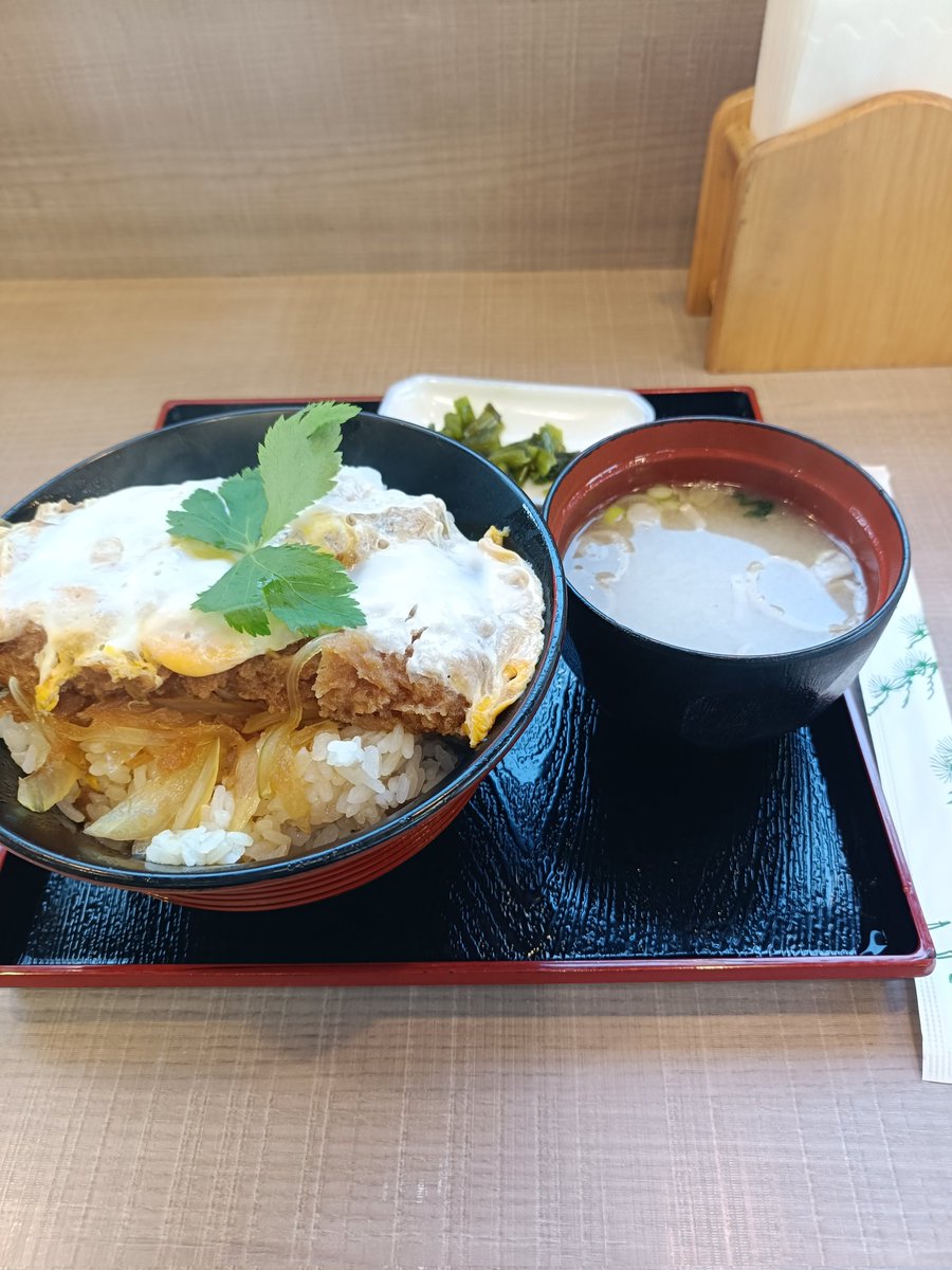 yokobousandayo's tweet image. 八ヶ岳のパーキングのカツ丼うまっ！