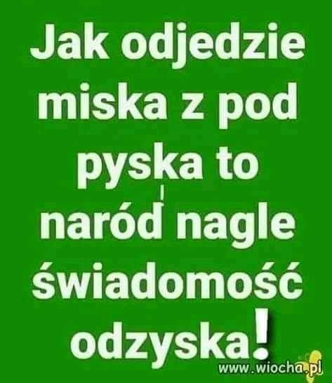 Green background with white bold text in Polish reading garbled phrase about a cat leaving under the bed leading to sudden national consciousness and recovery, ending with exclamation mark, and small yellow logo-like element at bottom right along with wiocha.pl watermark.