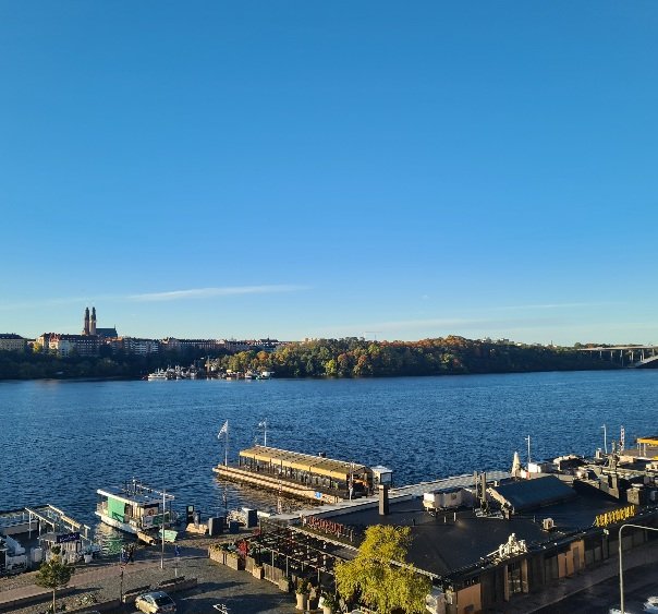 Birgitta Jonsson tweet media