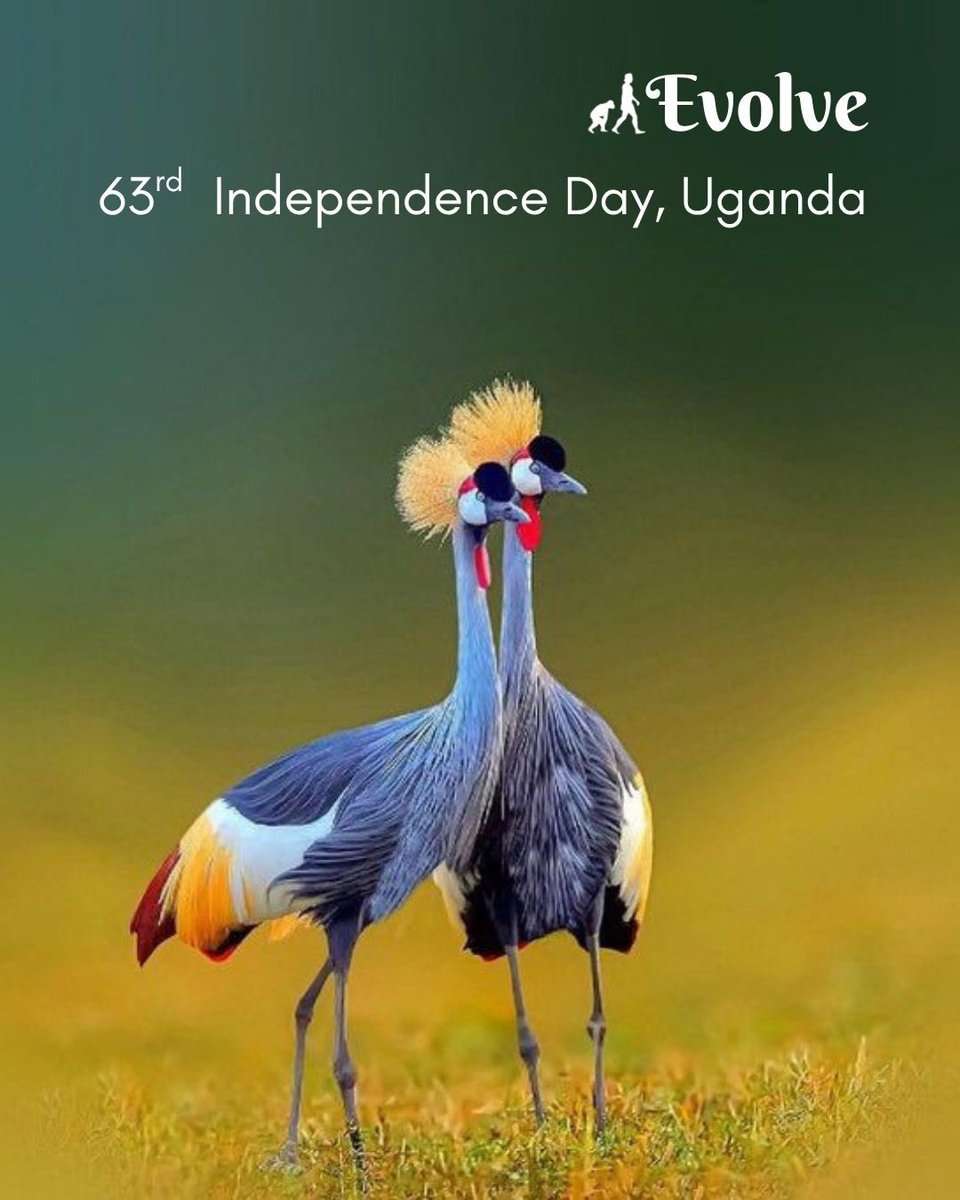 EvolveBros's tweet photo. Late post, timeless pride and true freedom💪🇺🇬

Happy (belated) 63rd Independence Day to the Pearl of Africa.

#proudlyugandan #IndependenceDayUganda https://t.co/3m4p5MBYuD