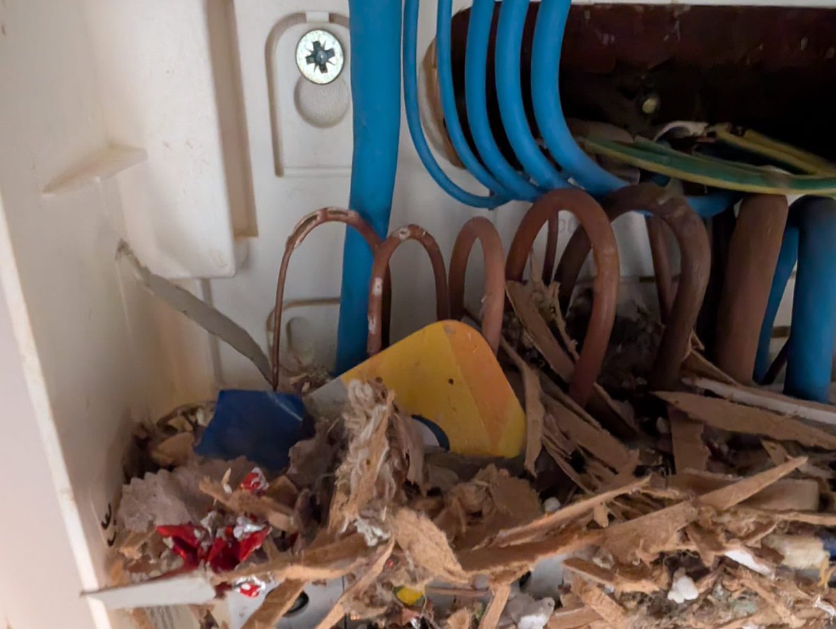 blandfordsllp's tweet image. ⚠️ Serious safety risk uncovered during a recent EICR: debris and nesting inside a consumer unit. This can lead to fire, insulation breakdown, or live core exposure. Regular inspections save lives.

📅 Book your EICR with Blandfords today.

#EICR #ElectricalSafety #FireRisk