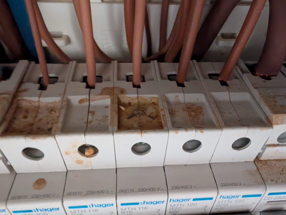 blandfordsllp's tweet image. ⚠️ Serious safety risk uncovered during a recent EICR: debris and nesting inside a consumer unit. This can lead to fire, insulation breakdown, or live core exposure. Regular inspections save lives.

📅 Book your EICR with Blandfords today.

#EICR #ElectricalSafety #FireRisk