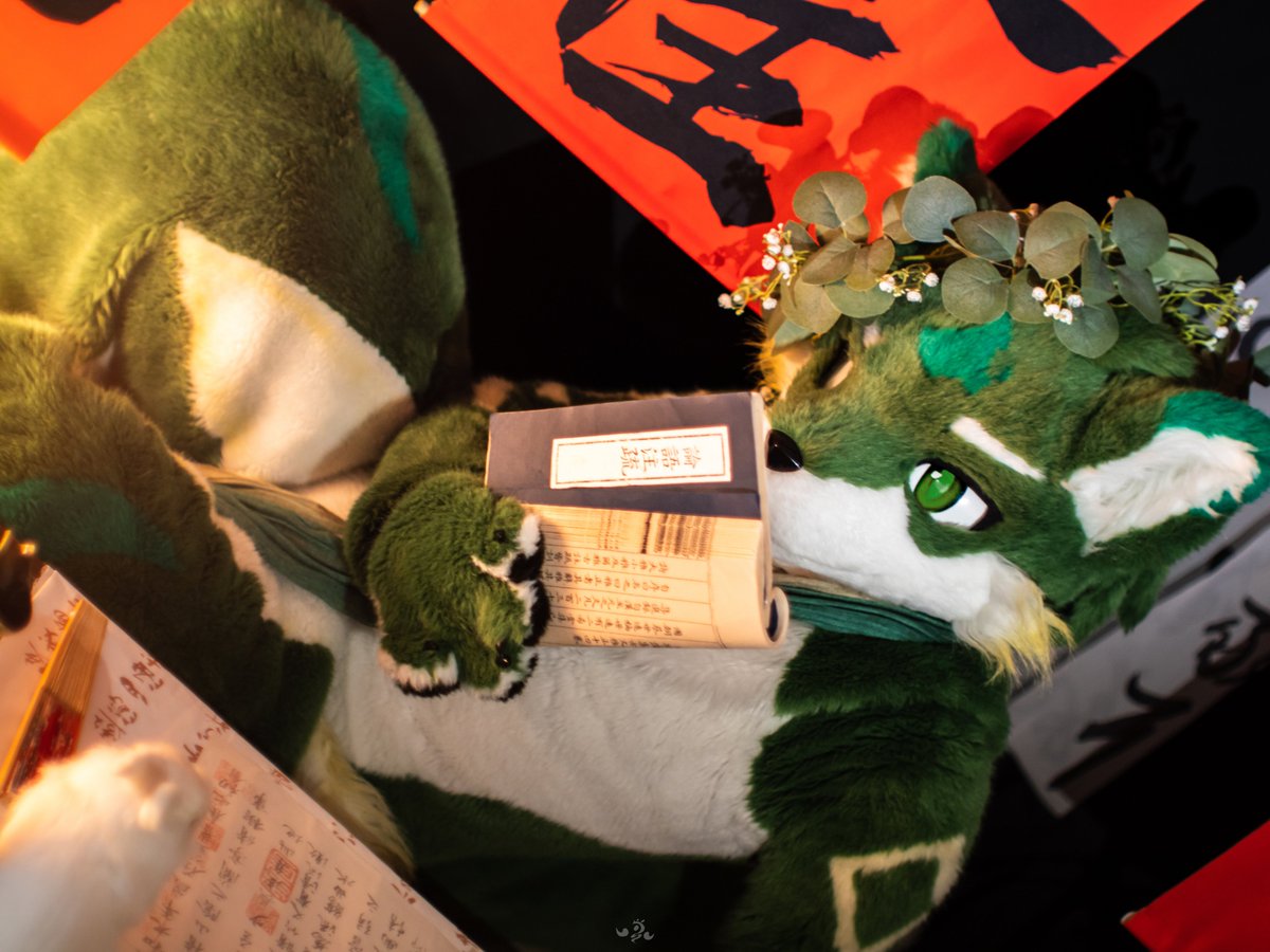 【XLVI.邊際】

📷:<a href="/MiKieTsuKiaMi/">酱汁烤炽</a>
#FursuitFriday