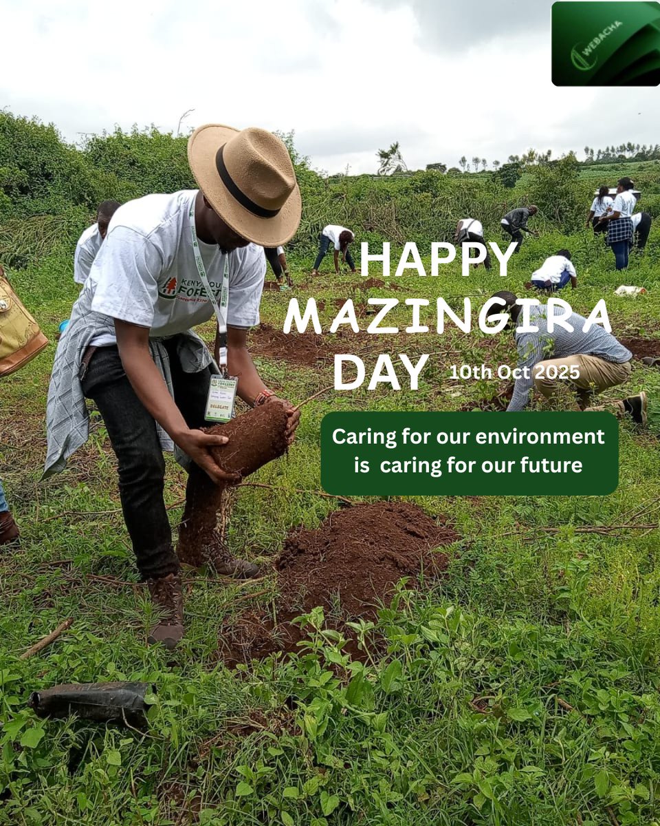 🌍 Happy #MazingiraDay2025 !
Caring for our environment = caring for our future 💚
Let’s grow sustainability through #BambooInnovation 🌿
#WebachaBamboo #EcoKenya #GreenFuture #ClimateActionNow #SustainabilityMatters