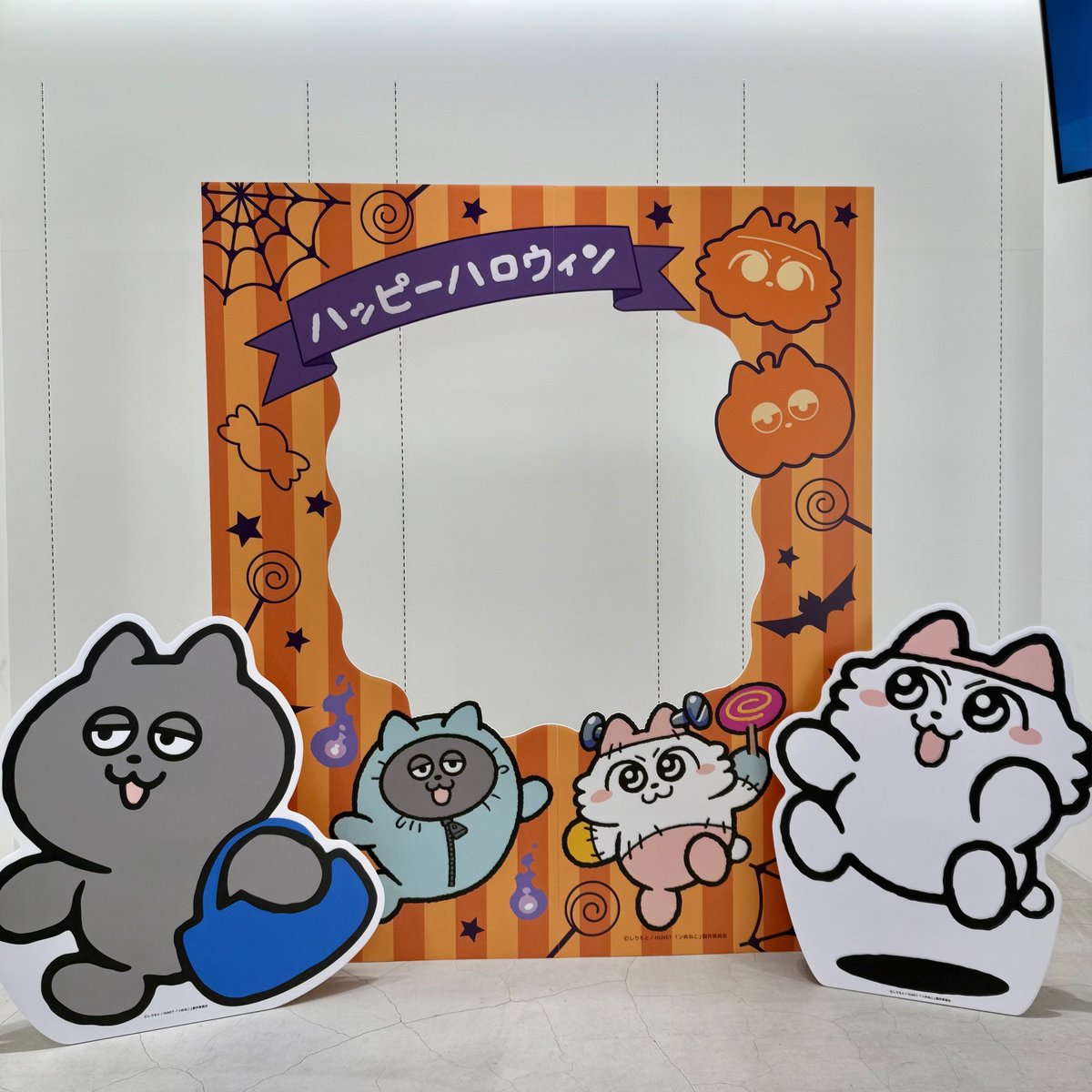 unextgoodsshop's tweet image. ＼#ンめねこ ポップアップショップ byU-NEXT  店内情報／
開催日程：10/14（火）～10/26（日）

店内には、ンめねこ初のフォトスポットを2カ所ご用意♪

ンめねことうすくろと一緒に秋を感じられる空間になってます！
沢山写真を撮って #ンめねこうすくろとハロウィン をつけてシェアしてね📷✨