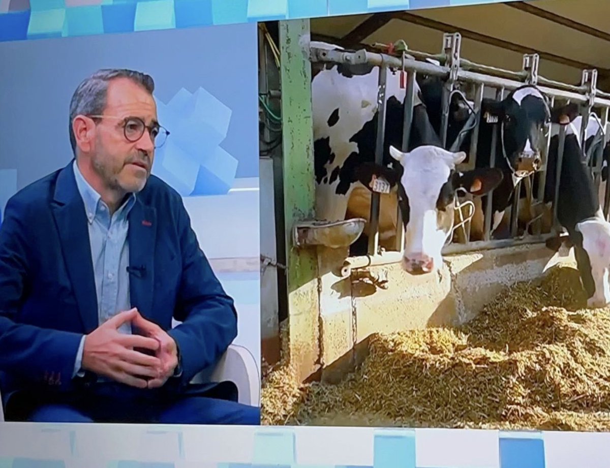 Veterinaris Lleida tweet media