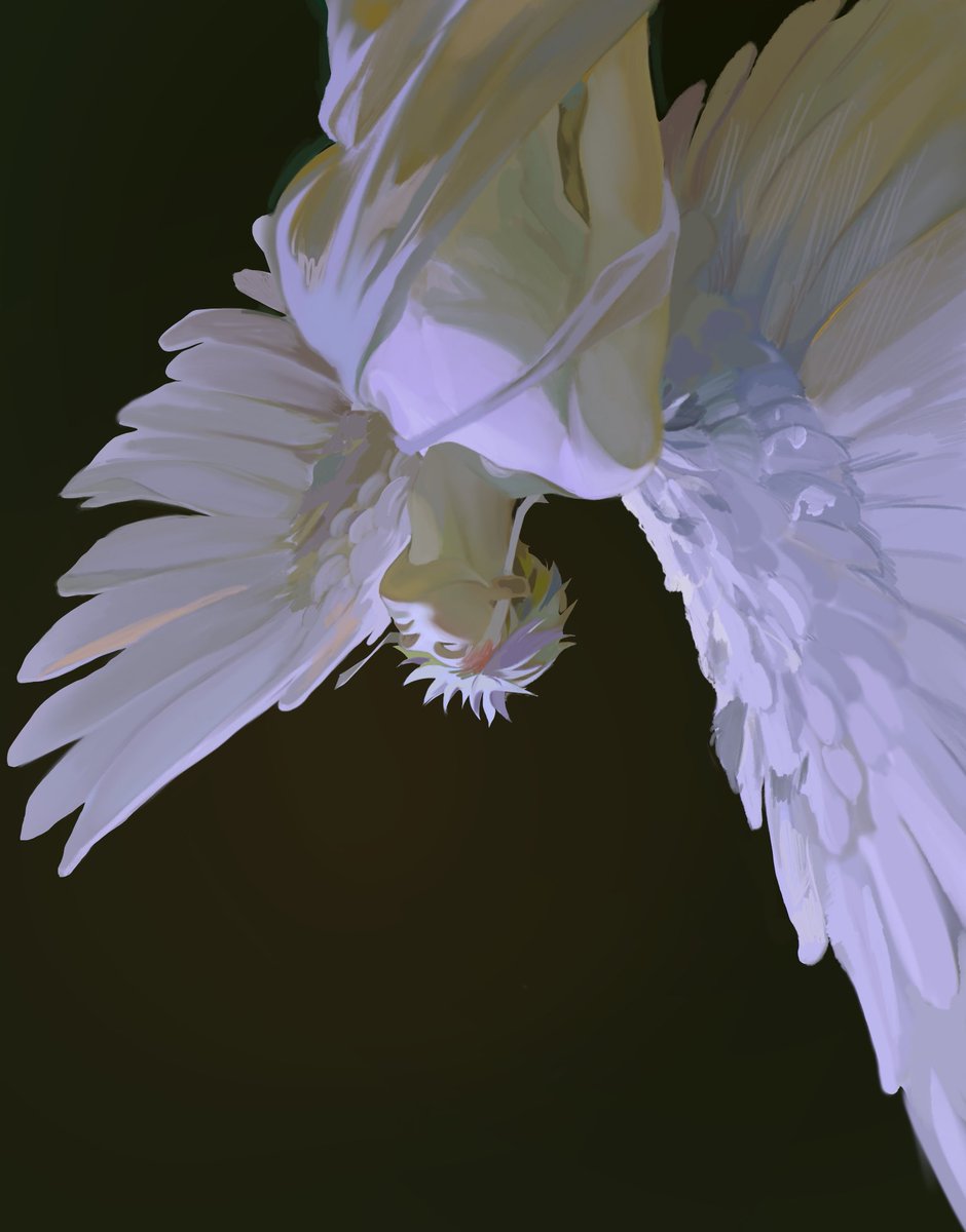 hhuanhe's tweet image. 逆
#satoru #jjk