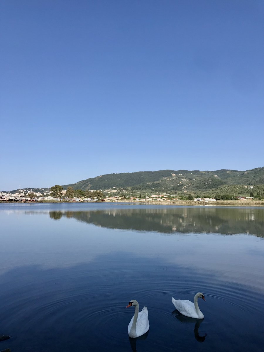 Nico 𝕏 tweet media