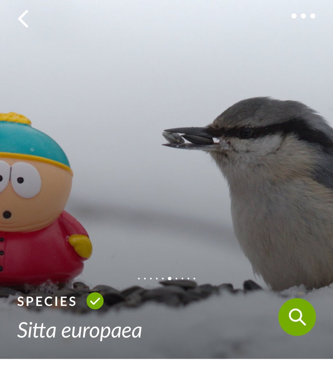 Tweet media one