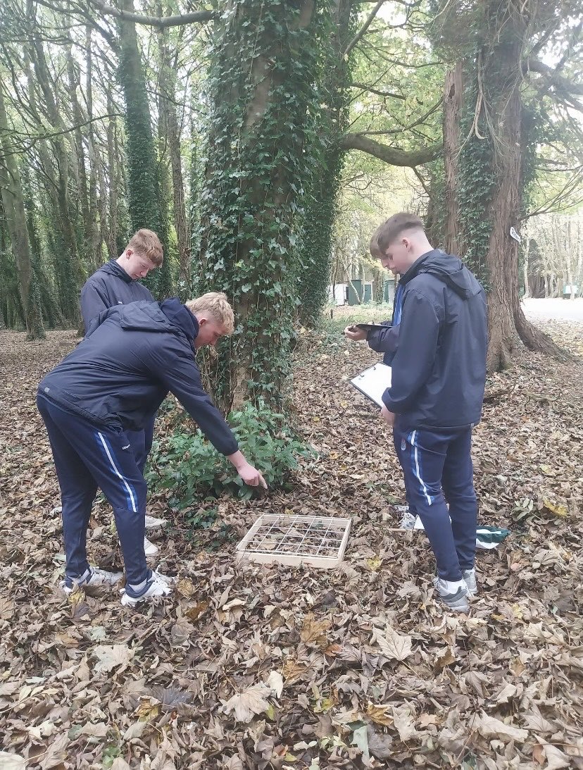 Pres_Carlow's tweet image. Sixth Years busy at work during their Sixth Year #Ecology trip in @C_DiscoveryPark! Yesterday was an exciting day of #learningandteaching for our @Pres_Carlow students. @CeistTrust @GreenSchoolsIre #biodiversity 🐞🦟🪲