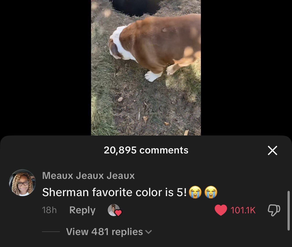 <a href="/kemimarie/">kay marie</a> THIS COMMENT?!??😭😭