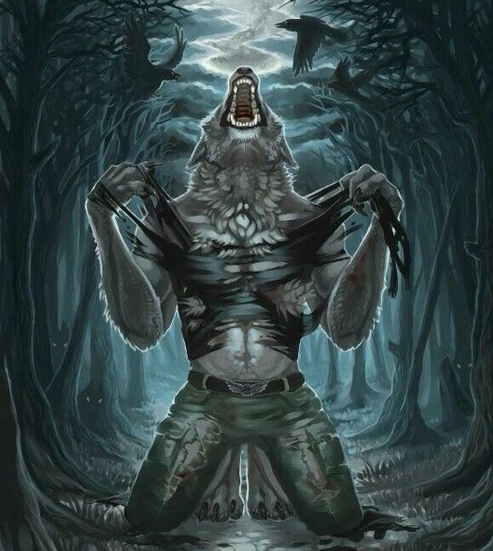 myseokryudan's tweet photo. why is matthew obsessed with being an alpha wolf https://t.co/zN9dkdTvoW