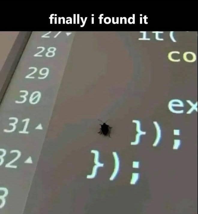 munaweb3's tweet image. I&apos;ve been searching for the bug in my code

I need bug repellents