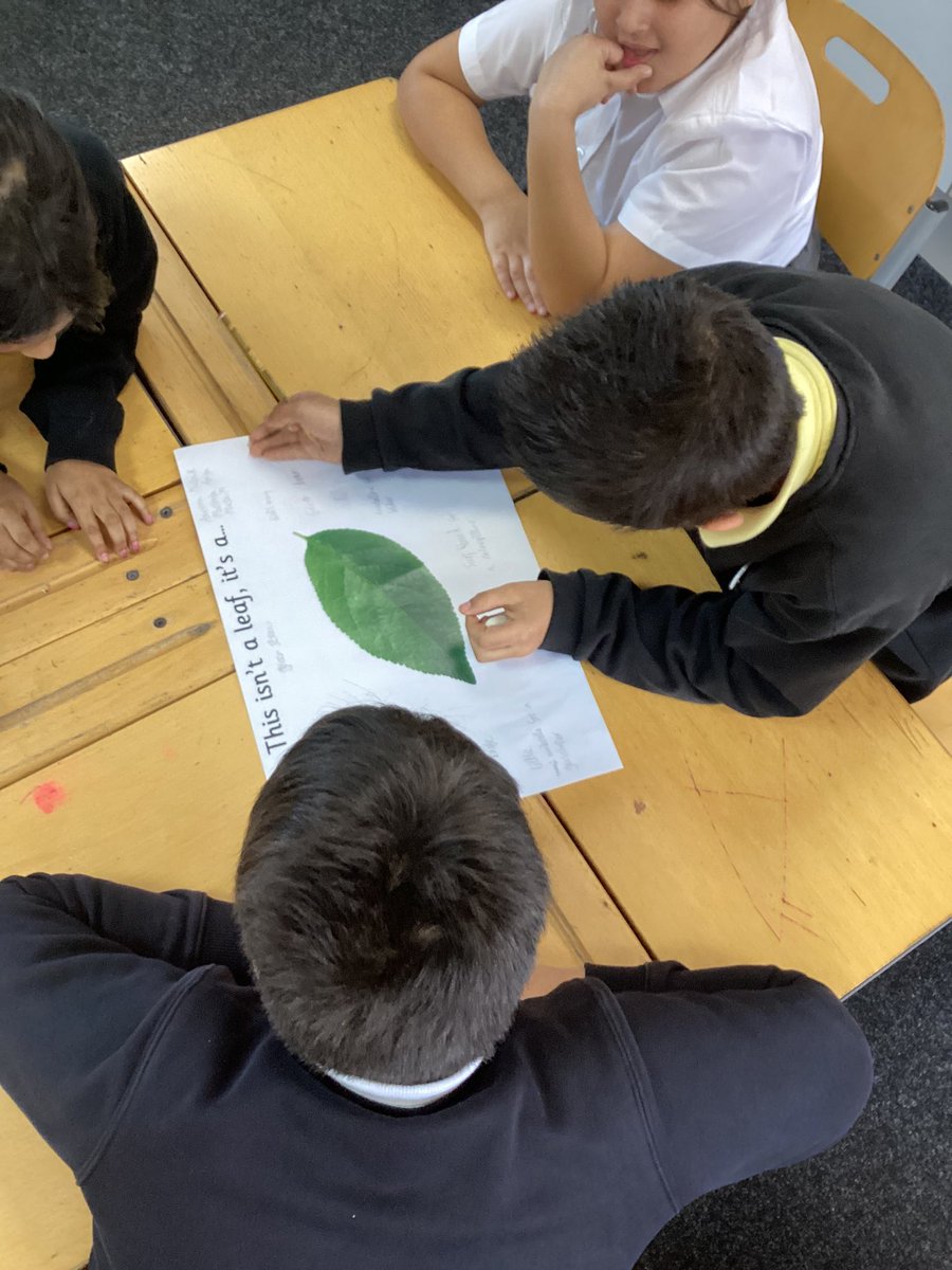 Holy Family Year 4 tweet media