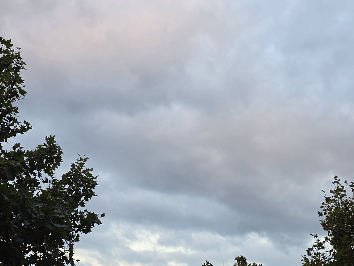 gramareus's tweet photo. Cel tapat pels núvols 🌫🌫
17°C,humitat del 93%
#reus #celgris #clouds #sky @Alex_MeteoM @SeguimlaMeteo @1967fct @ecazatormentas #somhi @StormHour #bondia #GoodMorning https://t.co/vhHeCkBUwC